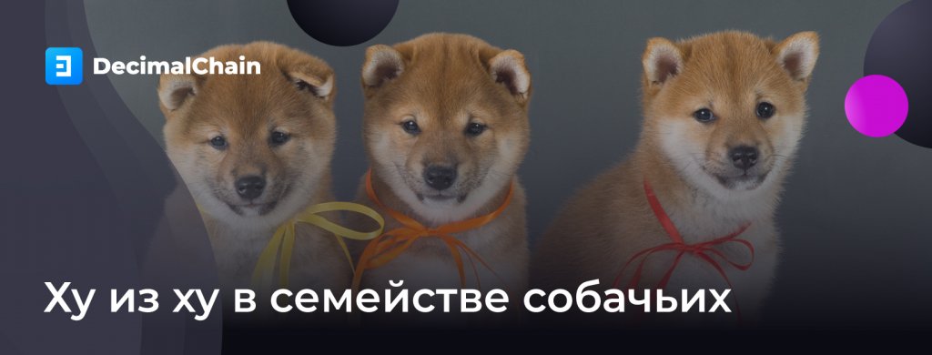 Изучая семейство собачьих: Dogecoin, Shiba Inu Coin или Baby Dogecoin