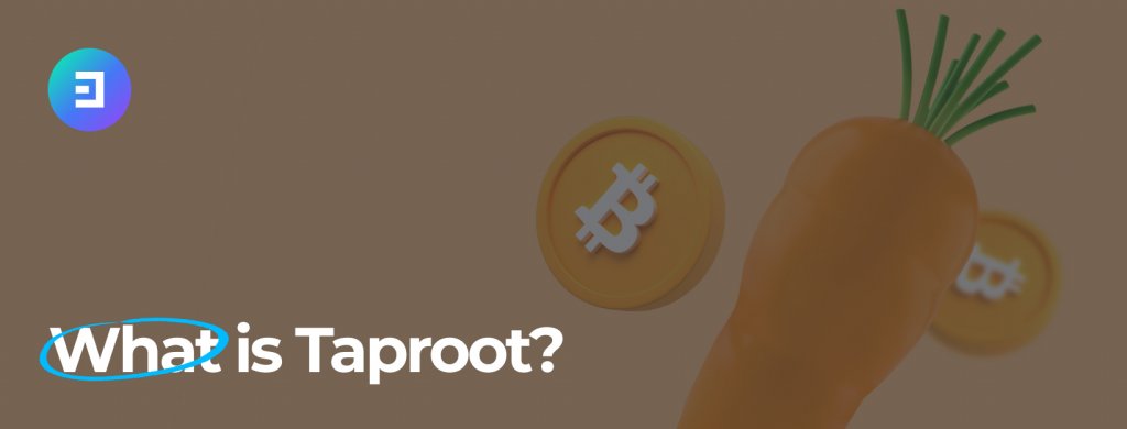 Taproot and its advantages for Bitcoin