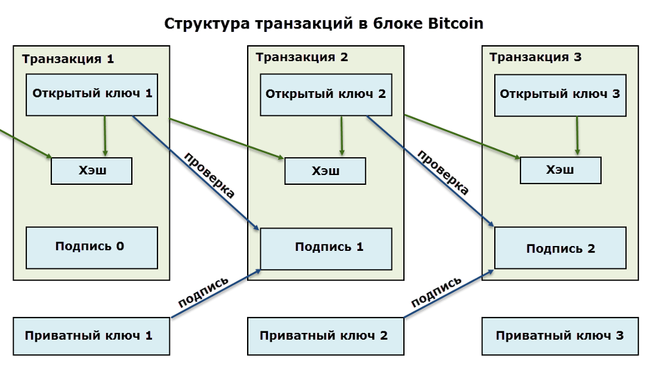 Структура транзакций в блоке Биткоин