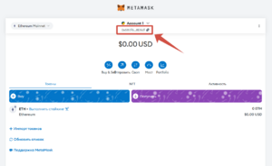 Синхронизация кошельков Decimal и MetaMask 10.png