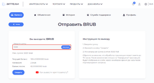 Как вывести рубли на спот BIT.TEAM 04.png