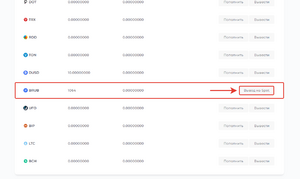 Как вывести рубли на спот BIT.TEAM 03.png