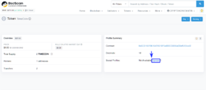 8 ru Decimal BSCscan instruction.png